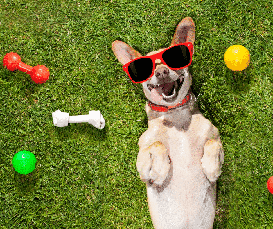 How to become a good buyer agent